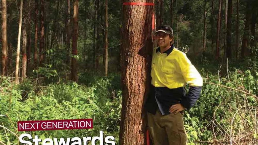 Australian Forest Grower Magazine